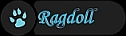 Ragdoll